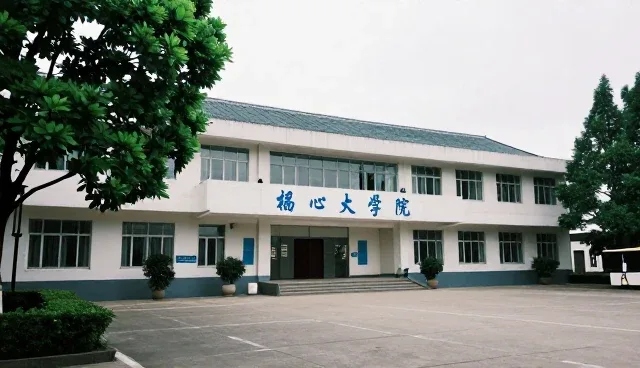 性能驱动下的区域发展：软件研发在本地化场景中的应用分析